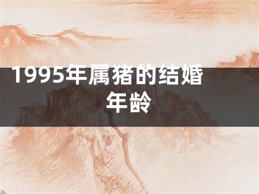 1995年属猪的结婚年龄