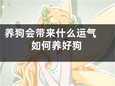 养狗会带来什么运气 如何养好狗