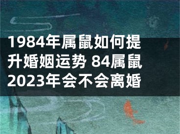 1984年属鼠如何提升婚姻运势 84属鼠2023年会不会离婚