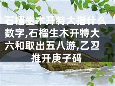 石榴生木开特大指什么数字,石榴生木开特大六和取出五八游,乙丒推开庚子码