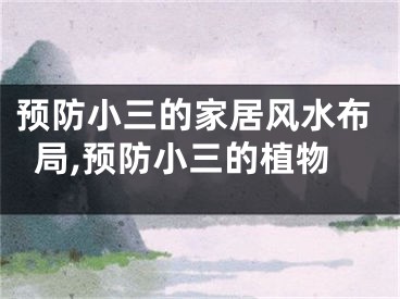 预防小三的家居风水布局,预防小三的植物