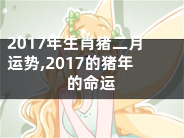 2017年生肖猪二月运势,2017的猪年的命运