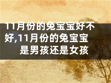 11月份的兔宝宝好不好,11月份的兔宝宝是男孩还是女孩