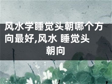 风水学睡觉头朝哪个方向最好,风水 睡觉头朝向