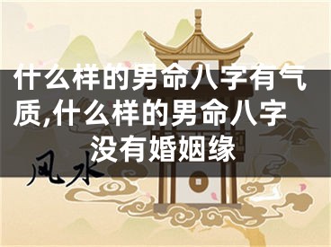 什么样的男命八字有气质,什么样的男命八字没有婚姻缘