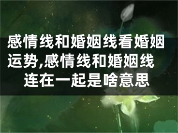 感情线和婚姻线看婚姻运势,感情线和婚姻线连在一起是啥意思