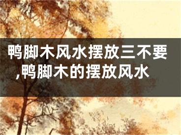 鸭脚木风水摆放三不要,鸭脚木的摆放风水