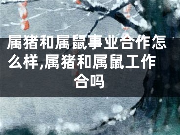属猪和属鼠事业合作怎么样,属猪和属鼠工作合吗