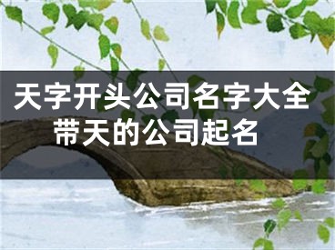 天字开头公司名字大全 带天的公司起名
