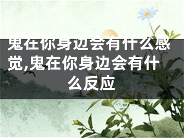 鬼在你身边会有什么感觉,鬼在你身边会有什么反应
