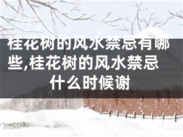桂花树的风水禁忌有哪些,桂花树的风水禁忌什么时候谢