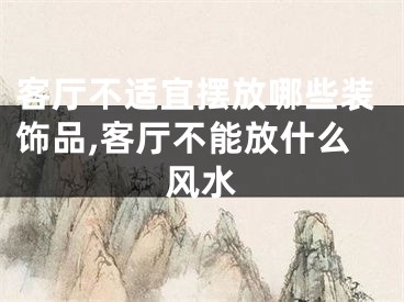 客厅不适宜摆放哪些装饰品,客厅不能放什么风水