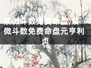 紫微斗数免费命盘,紫微斗数免费命盘元亨利贞