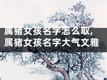 属猪女孩名字怎么取,属猪女孩名字大气文雅