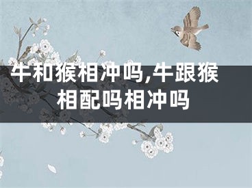 牛和猴相冲吗,牛跟猴相配吗相冲吗