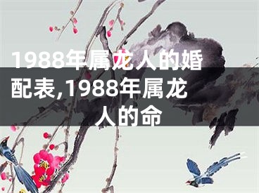 1988年属龙人的婚配表,1988年属龙人的命