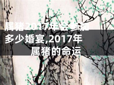 属猪2017年会参加多少婚宴,2017年属猪的命运