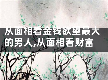 从面相看金钱欲望最大的男人,从面相看财富