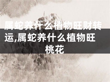 属蛇养什么植物旺财转运,属蛇养什么植物旺桃花