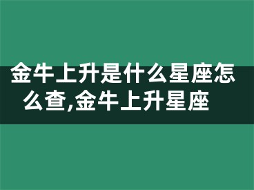 金牛上升是什么星座怎么查,金牛上升星座