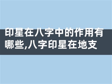 印星在八字中的作用有哪些,八字印星在地支