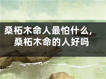 桑柘木命人最怕什么,桑柘木命的人好吗