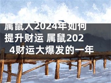 属鼠人2024年如何提升财运 属鼠2024财运大爆发的一年