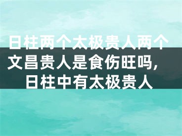 日柱两个太极贵人两个文昌贵人是食伤旺吗,日柱中有太极贵人