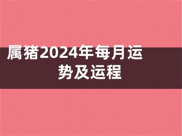 属猪2024年每月运势及运程