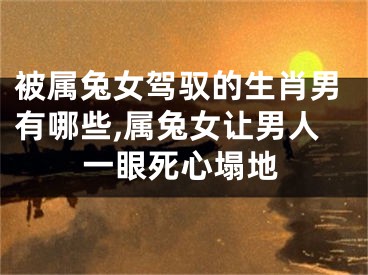 被属兔女驾驭的生肖男有哪些,属兔女让男人一眼死心塌地