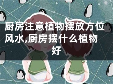 厨房注意植物摆放方位风水,厨房摆什么植物好