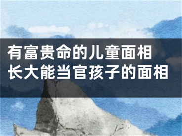 有富贵命的儿童面相 长大能当官孩子的面相