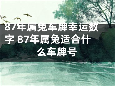 87年属兔车牌幸运数字 87年属兔适合什么车牌号