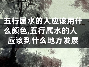 五行属水的人应该用什么颜色,五行属水的人应该到什么地方发展