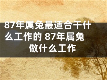 87年属兔最适合干什么工作的 87年属兔做什么工作