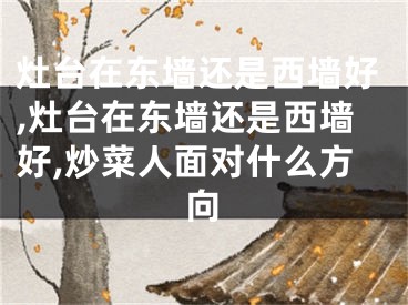 灶台在东墙还是西墙好,灶台在东墙还是西墙好,炒菜人面对什么方向