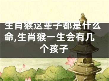 生肖猴这辈子都是什么命,生肖猴一生会有几个孩子
