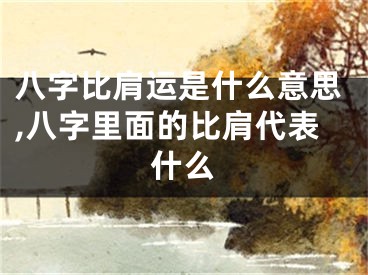 八字比肩运是什么意思,八字里面的比肩代表什么