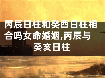丙辰日柱和癸酉日柱相合吗女命婚姻,丙辰与癸亥日柱