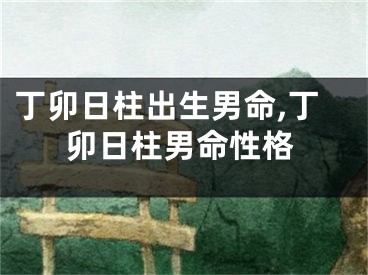 丁卯日柱出生男命,丁卯日柱男命性格
