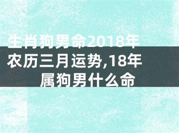 生肖狗男命2018年农历三月运势,18年属狗男什么命
