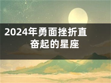 2024年勇面挫折直奋起的星座