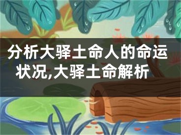 分析大驿土命人的命运状况,大驿土命解析