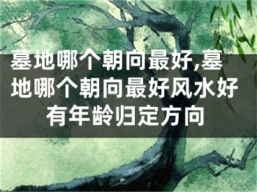 墓地哪个朝向最好,墓地哪个朝向最好风水好有年龄归定方向
