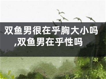 双鱼男很在乎胸大小吗,双鱼男在乎性吗