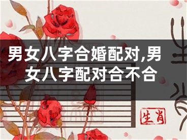 男女八字合婚配对,男女八字配对合不合
