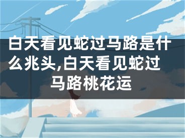 白天看见蛇过马路是什么兆头,白天看见蛇过马路桃花运