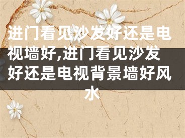进门看见沙发好还是电视墙好,进门看见沙发好还是电视背景墙好风水