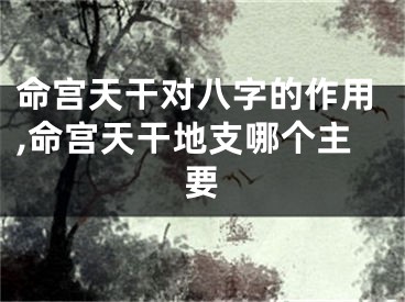 命宫天干对八字的作用,命宫天干地支哪个主要