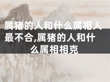 属猪的人和什么属相人最不合,属猪的人和什么属相相克
